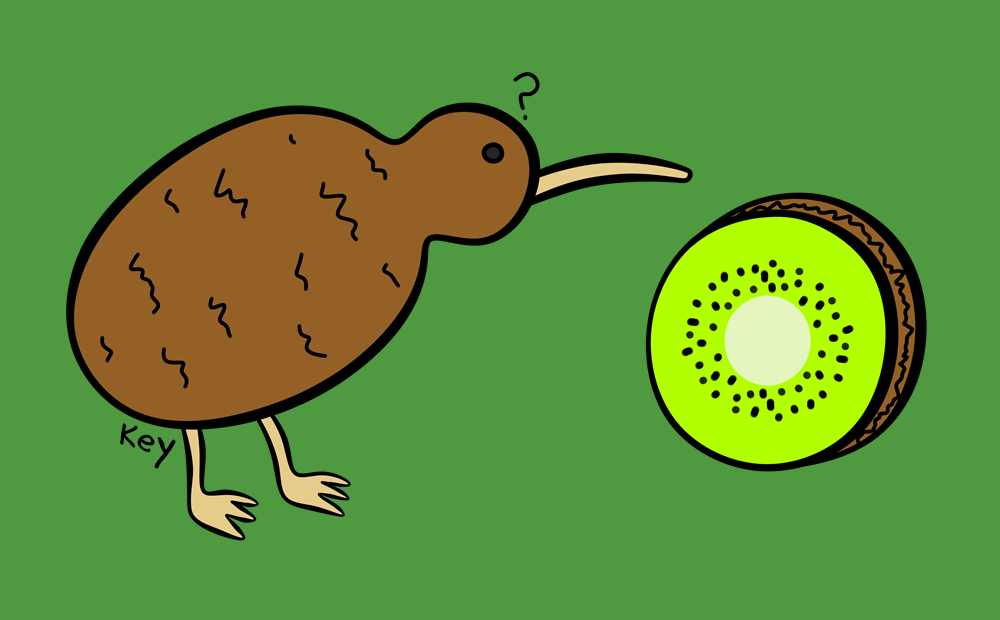a kiwi bird meets a kiwi fruit!