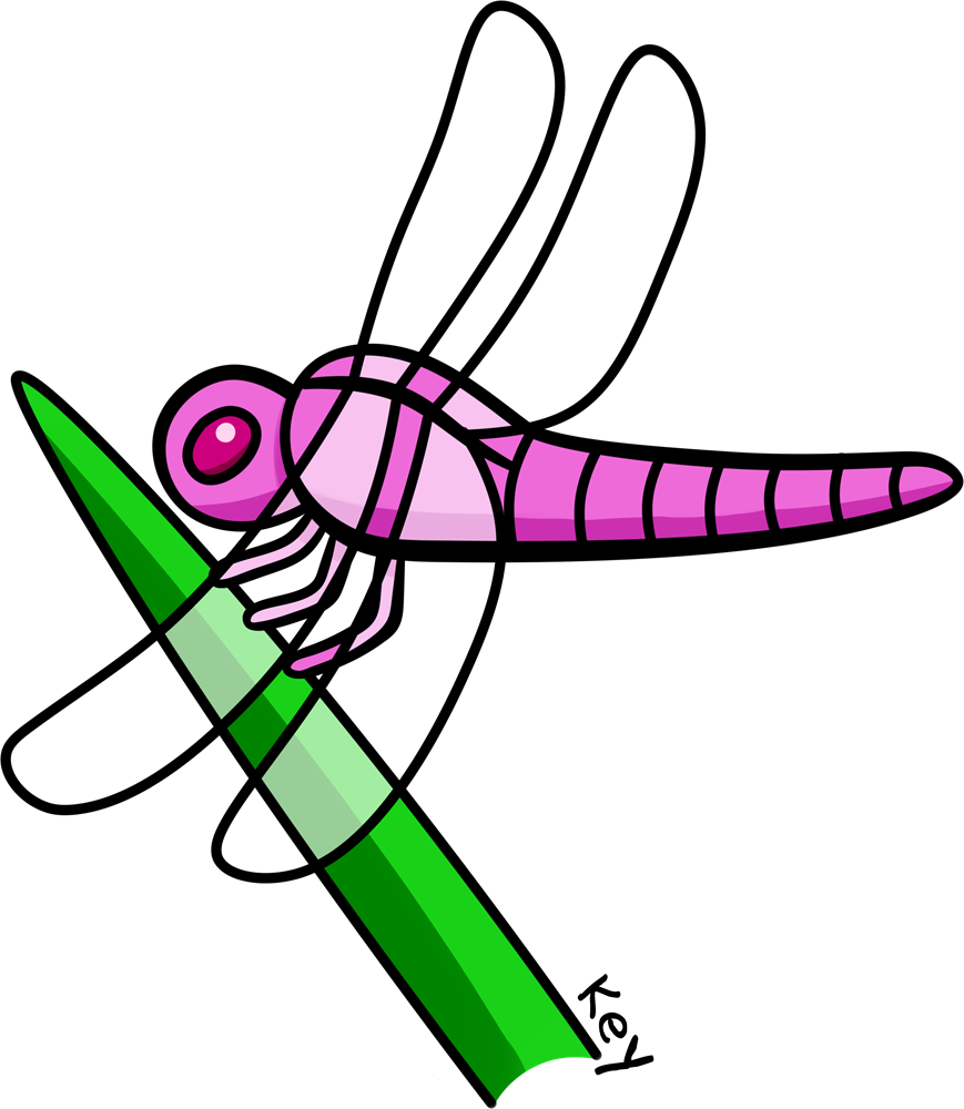 a pink dragonfly perching on a leaf