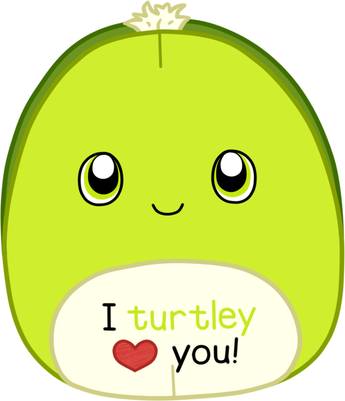 a Valentine's-themed turtle Squishmallow plushie