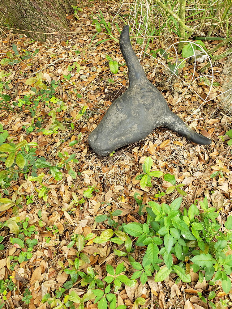 a rubber bull dummy head amongst grass and leaves