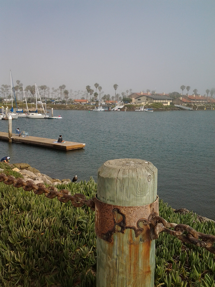 wooden posts with rusting metal bands, along water with fog rolling in