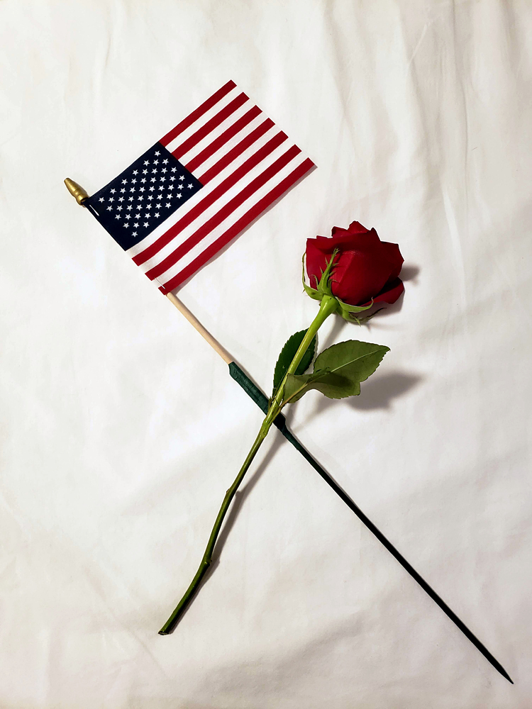 a small American flag and red rose on a white background