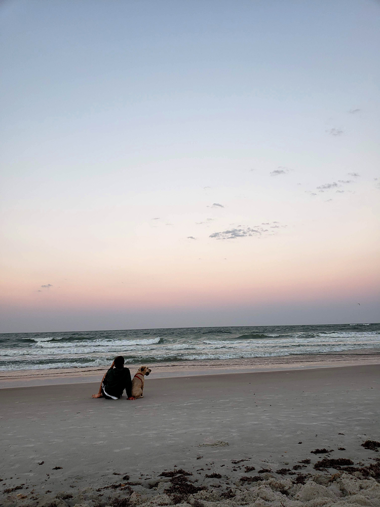 a man and his dog sitting on the beach, overlooking the water