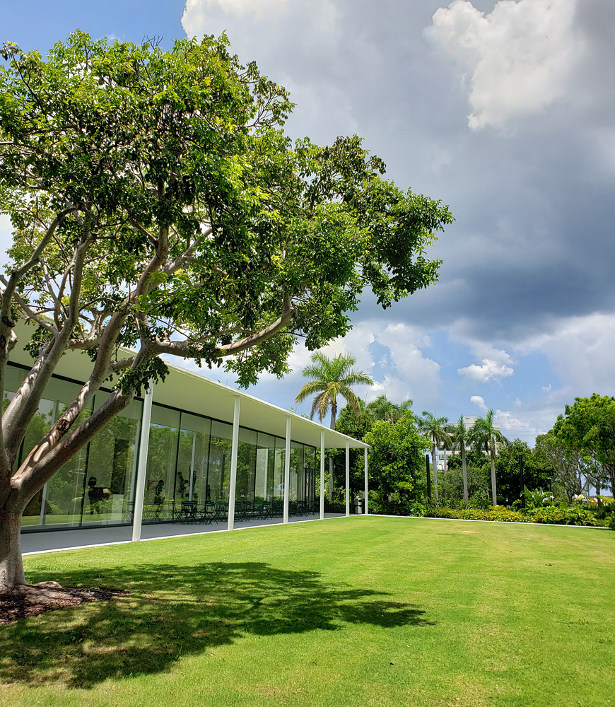 the very green courtyard of the Norton Museum of Art in West Palm Beach, Florida
