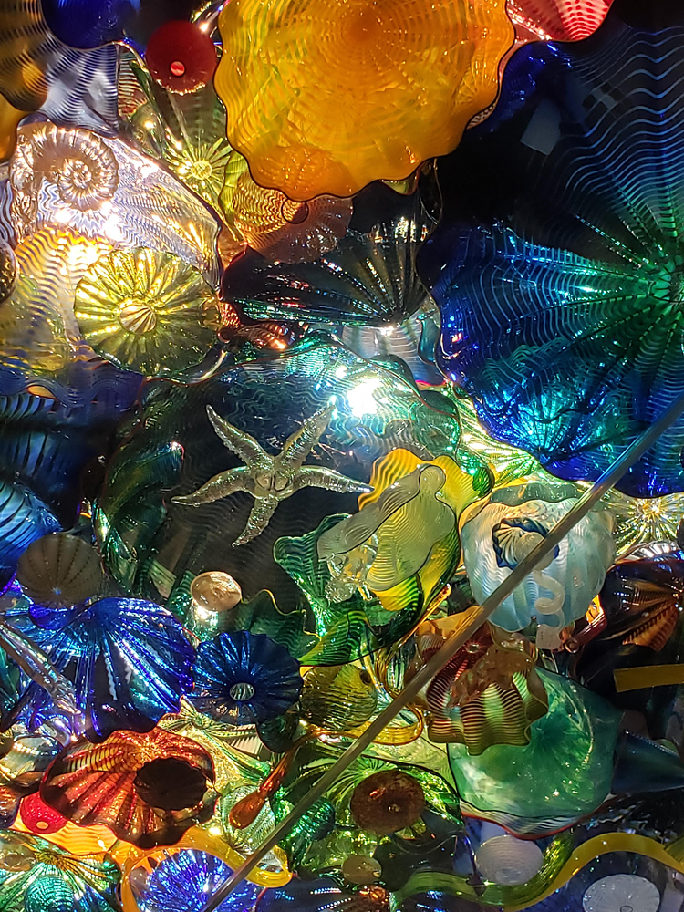 a glass ceiling full of glass sculptures of various sealife, by Dale Chihuly
