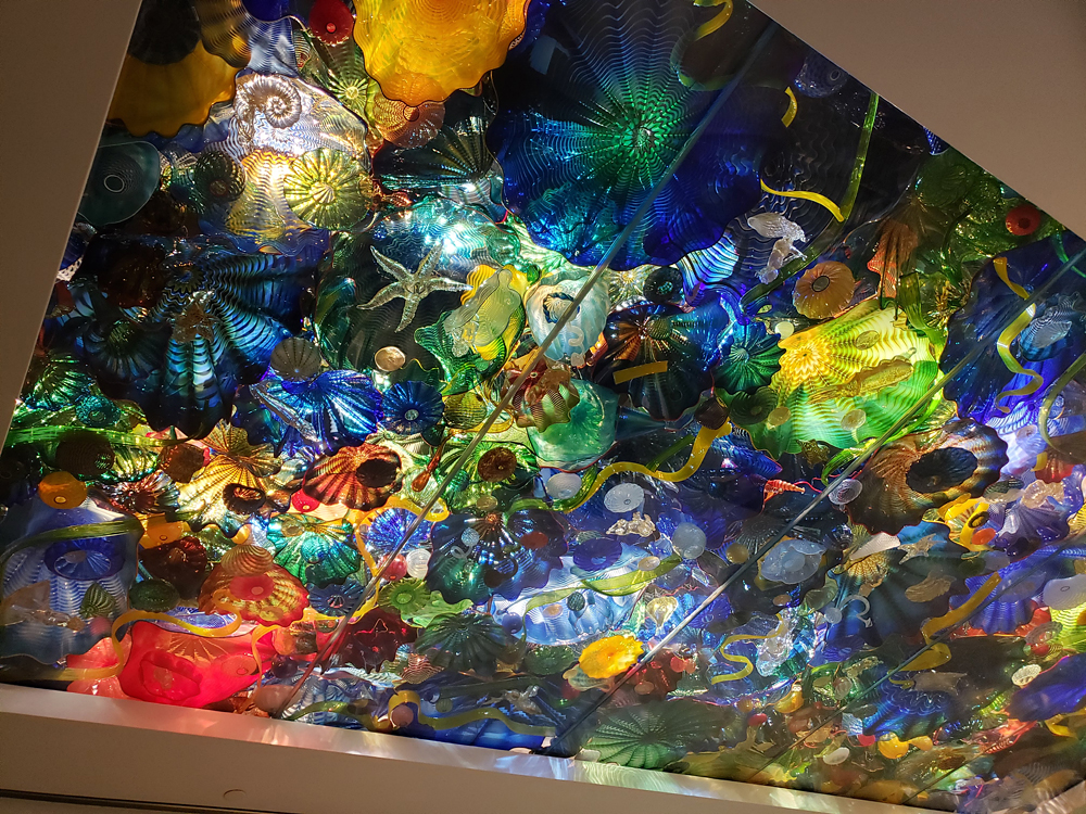 a glass ceiling full of glass sculptures of various sealife, by Dale Chihuly
