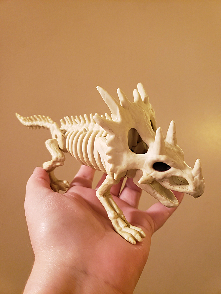 A small plastic triceratops skeleton held in the palm of a hand