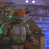 Teenage Mutant Ninja Turtles icon