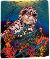 Lisa Frank: seal among coral