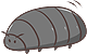 a cartoon isopod